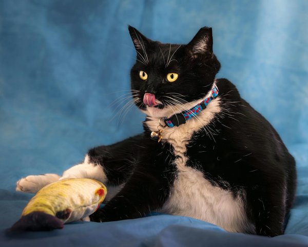 How Can We Foster Innovation in UK Businesses?